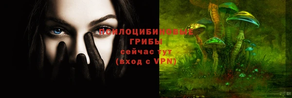 PSILOCYBIN Алзамай