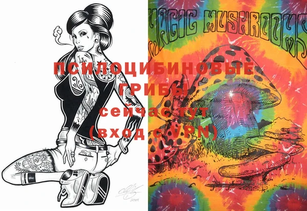 PSILOCYBIN Алзамай