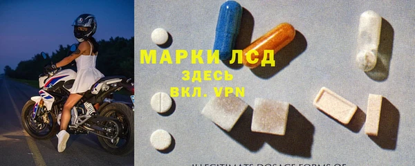 PSILOCYBIN Алзамай