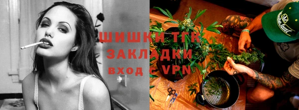 PSILOCYBIN Алзамай