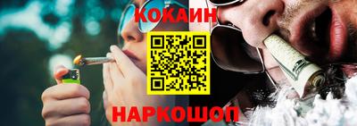 стафф Гатчина