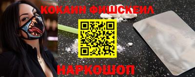 стафф Гатчина