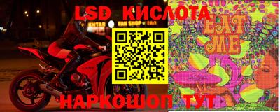 стафф Гатчина