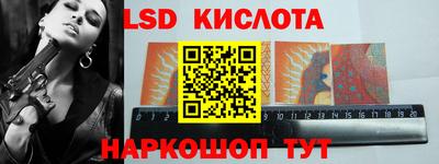 стафф Гатчина