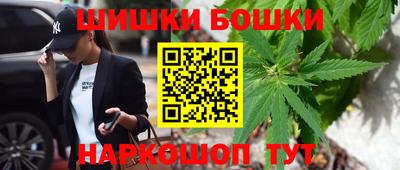 стафф Гатчина
