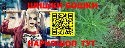 спайс Гай