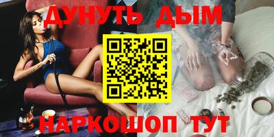 стафф Гатчина