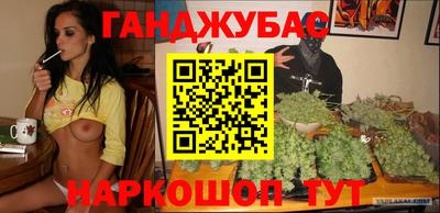 стафф Гатчина
