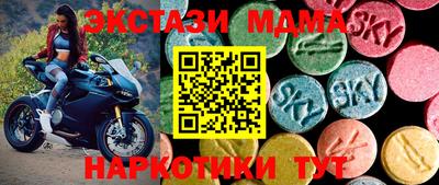 стафф Гатчина