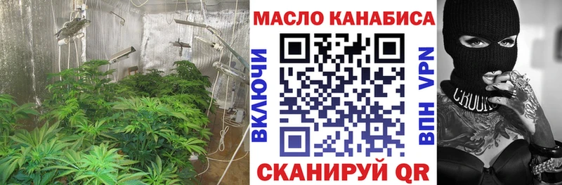 купить   Кудрово  ТГК жижа 