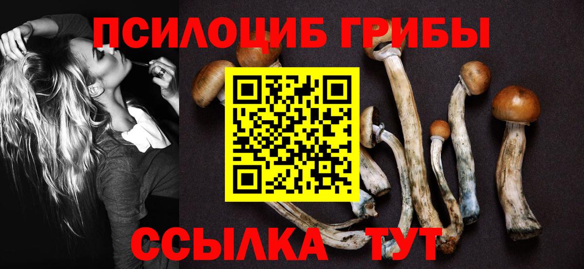 Псилоцибиновые грибы Psilocybine cubensis Кудрово