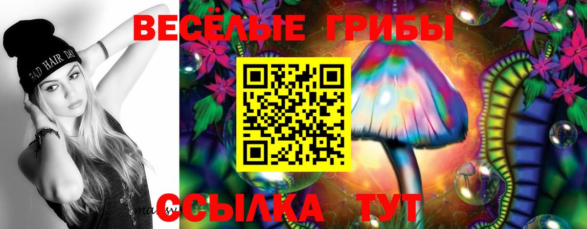 Кудрово  Галлюциногенные грибы мицелий  Вход с VPN 
